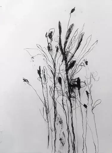 Robert BARIBEAU - 水彩作品 - In the weeds ink bloom #3