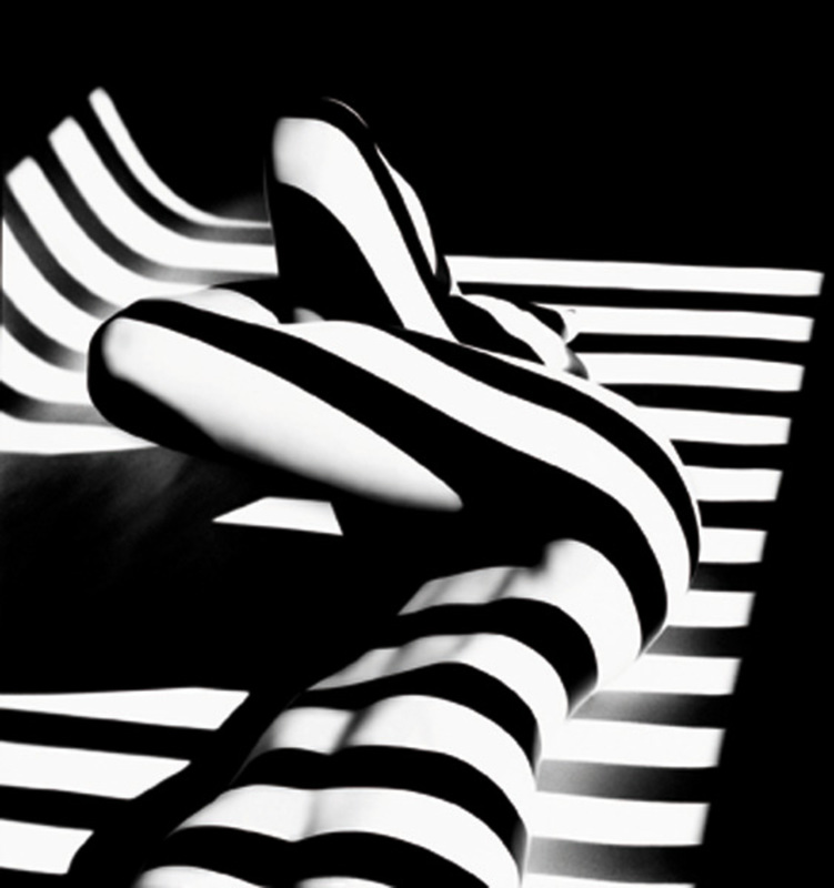Francis GIACOBETTI - Photography - Zebra 14