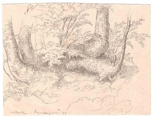 Jacques Alfred VAN MUYDEN - Drawing-Watercolor - Etude de souches