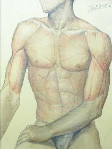 Angeles BENIMELLI - Dessin-Aquarelle - Academic anatomical drawing artist male C1