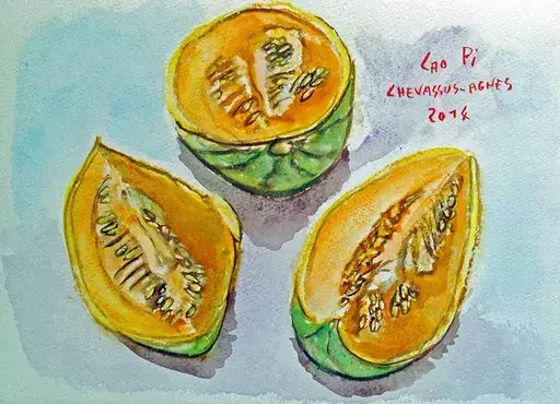 Jean-Pierre CHEVASSUS-AGNES - Dibujo Acuarela - melon de France