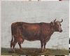 Friedrich GAUERMANN - Pintura - Cow