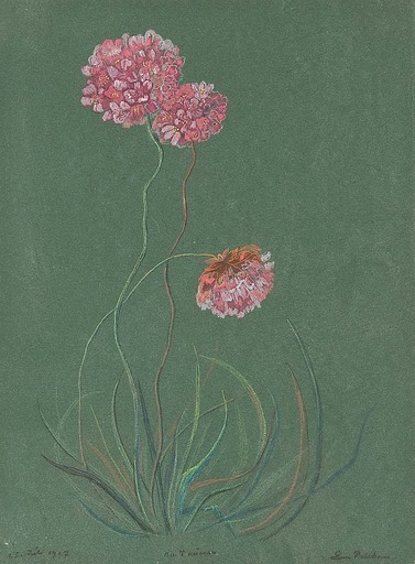 Emilie MEDIZ-PELIKAN - Zeichnung Aquarell - Flowers