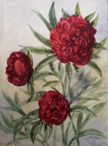 Alfred KELLER - Drawing-Watercolor - Pivoines