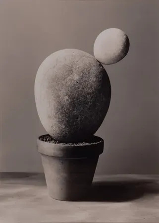 Untitled by | Chema MADOZ | buy art online | artprice