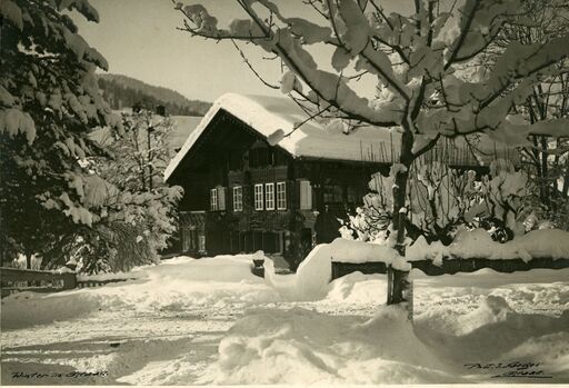 Jacques NAEGELI - 照片 - Winter in Gstaad