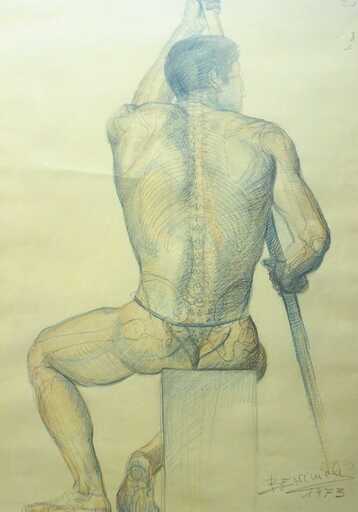 Angeles BENIMELLI - Dessin-Aquarelle - Academic: “Male anatomical bone study from the back”.
