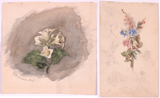 Franz Xaver GRUBER - 水彩作品 - "Two Flower Studies", 19th Century