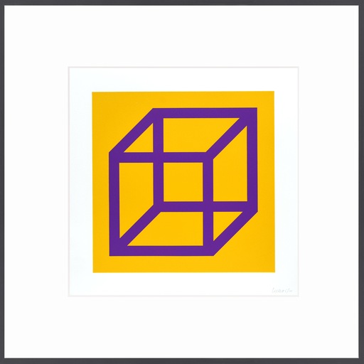 Sol LEWITT - Grabado - Open Cube in Color on Color Plate 27