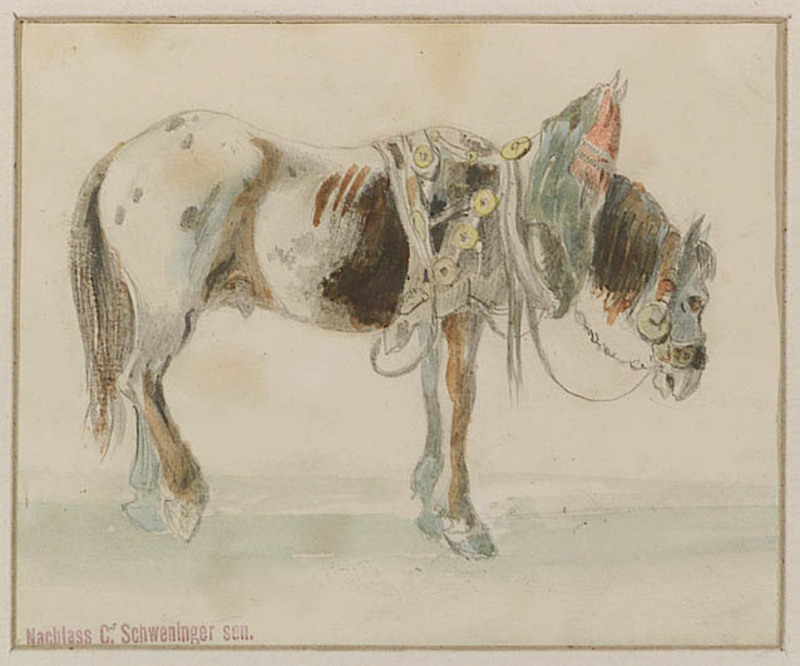 Karl I SCHWENINGER - Zeichnung Aquarell - Horse Study, early 19th Century