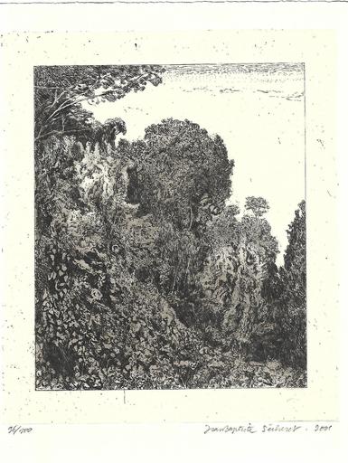 Jean-Baptiste SECHERET - Stampa-Multiplo - Le bois d acacias
