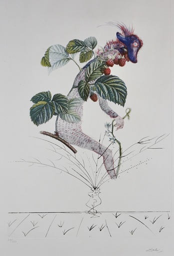 萨尔瓦多·达利 - 版画 - FlorDali/Les Fruits Raspberry