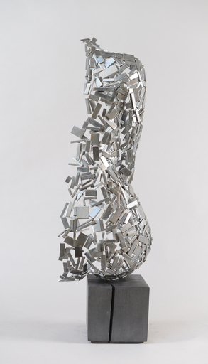 Nicolas DESBONS - Skulptur Volumen - Silver C