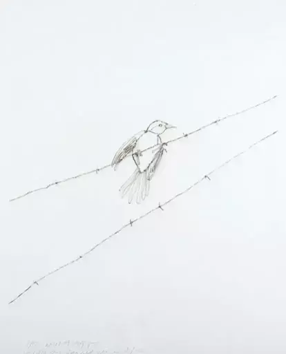 维克•穆尼斯 - 版画 - Vireo on Barbed Wire