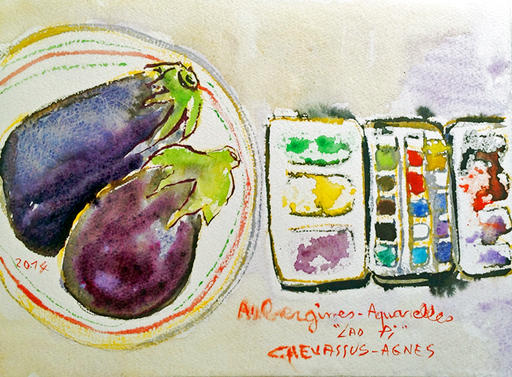 Jean-Pierre CHEVASSUS-AGNES - Dibujo Acuarela - aubergines de FRANCE, boite d'aquarelles