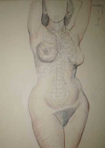 Angeles BENIMELLI - 水彩作品 - Academic anatomical drawing artist female 11 N7