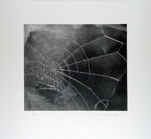 维加•塞尔敏斯 - 版画 - Spider-Web, 