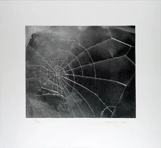 Vija CELMINS - Druckgrafik-Multiple - Spider-Web, 