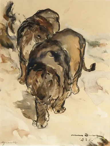 Otto DILL - Drawing-Watercolor - Zwei Löwen auf der Lauer