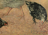 Georges MANZANA-PISSARRO - Pintura - Coq et poules