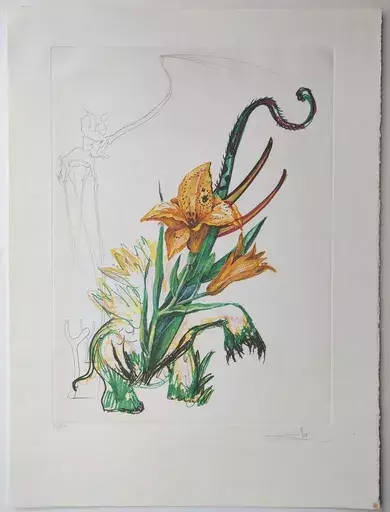 萨尔瓦多·达利 - 版画 -  Hemerocallis thumbergii elephanter from Surrealistic Flower