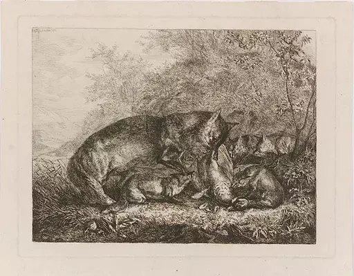 Karl Wilhelm TORNAU - Painting - "Fox Family", Etching, early 19th Century