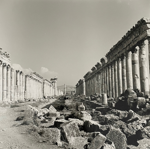 Michel EISENLOHR - Photo - Apamée, grande colonnade, Syrie