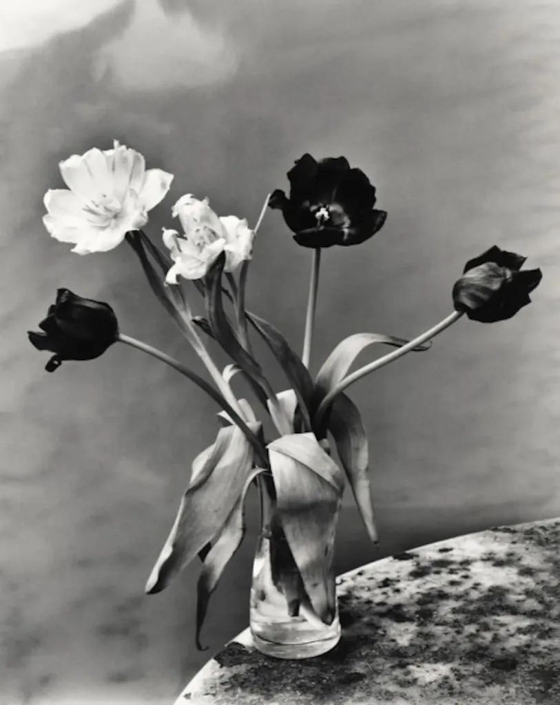 Nobuyushi Araki: [Yami No Hana] Araki's Jewelry and Flower