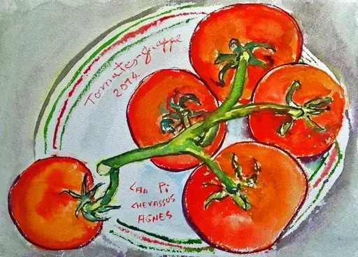 Jean-Pierre CHEVASSUS-AGNES - Dibujo Acuarela - tomates grappe de France