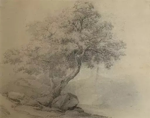 Jules COIGNET - Dibujo Acuarela - Portrait of a Tree