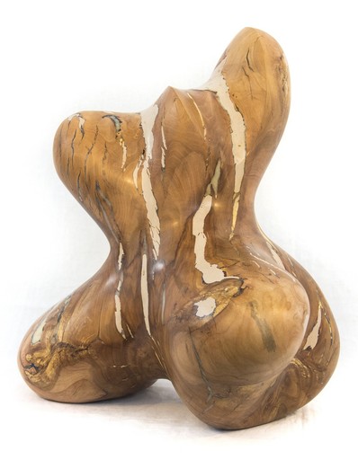 Shayne DARK - Sculpture-Volume - Windfall Series No 04