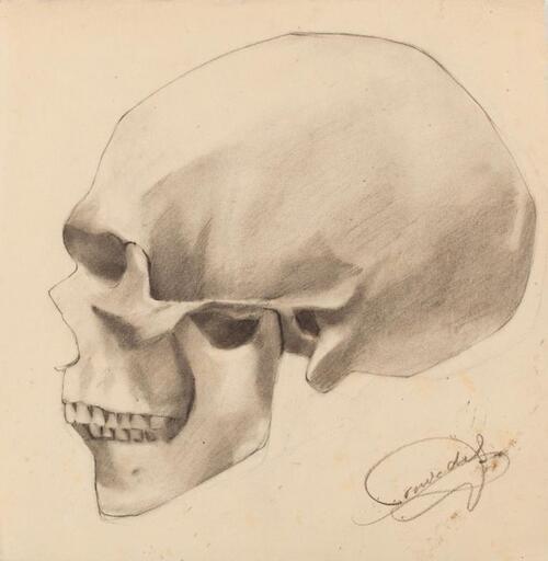 B. CONDE DE SATRINO - Drawing-Watercolor - Vanity skull (signature forgetting his family name) Morocco 