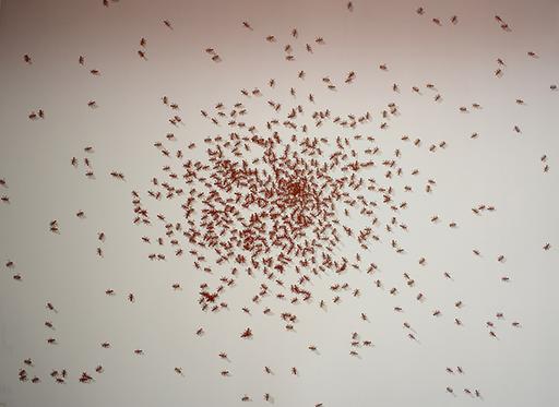 Ed RUSCHA - Grabado - Swarm of Red Ants, from: Insects