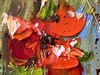 Diana MALIVANI - Gemälde - Une image bien-aimée, un songe velouté...