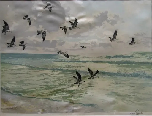 Hans FIGURA - Grabado - "Seagulls at Beach" 