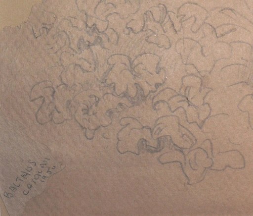 BALTHUS - Zeichnung Aquarell - « Eve au jardin d’Eden » 