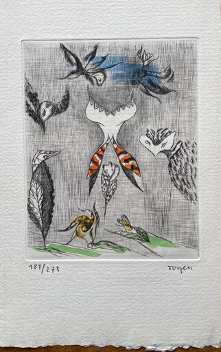 TOYEN - 版画 - Prirodopis -  Histoire Naturelle 