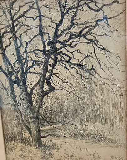 Rudolf HÖCKNER - Drawing-Watercolor - Baum