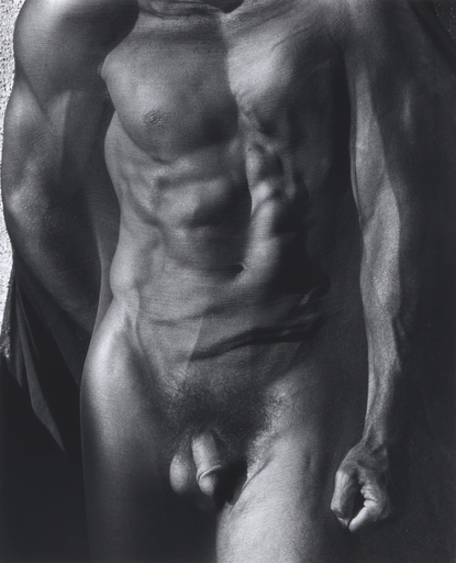 Herb RITTS - Fotografie - Male Torso with Veil (Tight), Silverlake