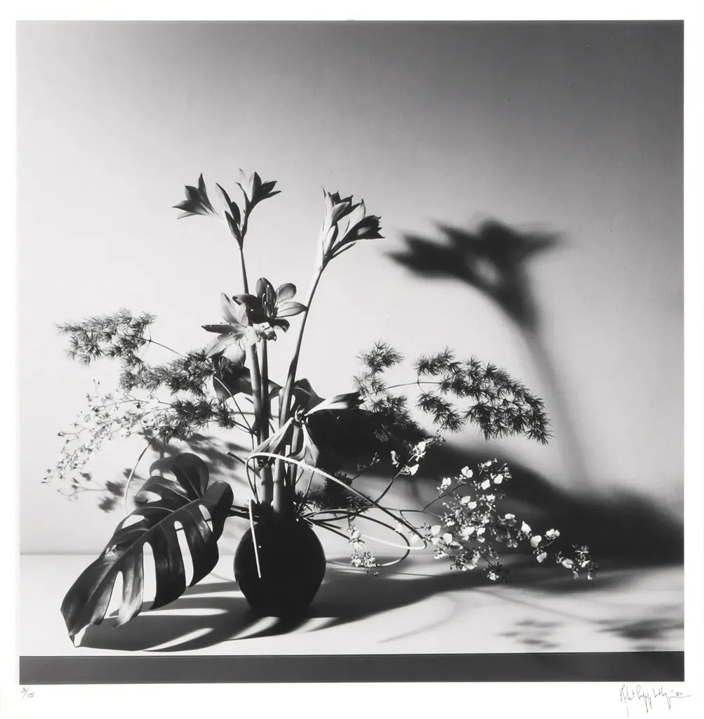 Robert-MAPPLETHORPE-Flower-