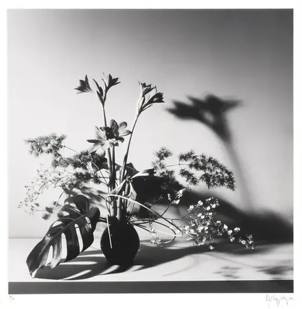 アート・デザイン・音楽 Altars   mapplethorpe Buy Altars by Robert Mapplethorpe online. – Setanta Books