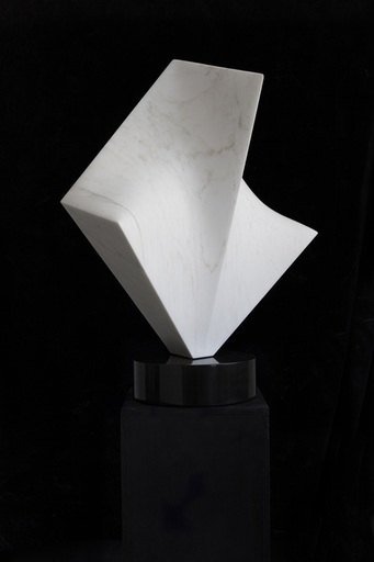 Gustavo VÉLEZ - Skulptur Volumen - Profundidad