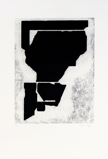 Lluís LLEO - Print-Multiple - Estudi d´un espai
