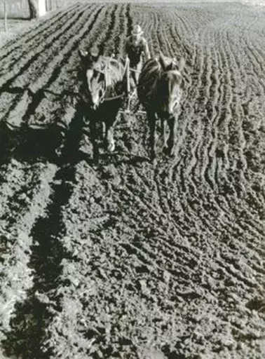 John VACHON - Fotografia - Residents of small town plowing field in back of his house