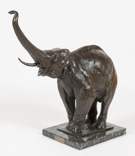 Sirio TOFANARI - Sculpture-Volume - Vecchio elefante