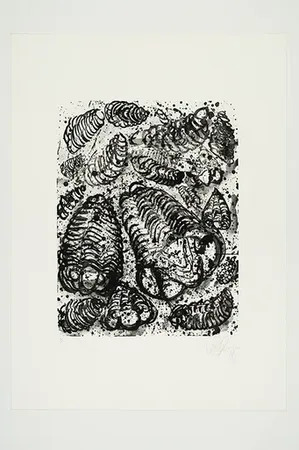 Tony Cragg　Dibujos / Drawings 1991-92 Tony Cragg. Dibujos / Drawings 1991 - 1992. Antiquariat