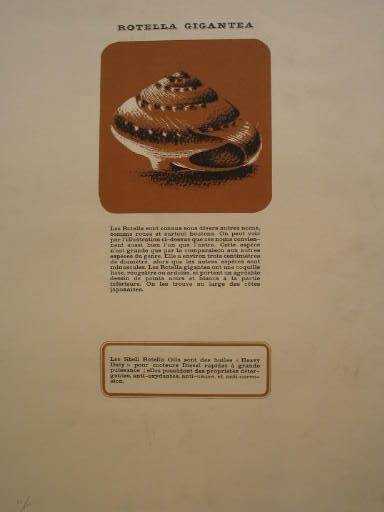 米莫·罗特拉 - 版画 - Shell Rotella Oils,1968.