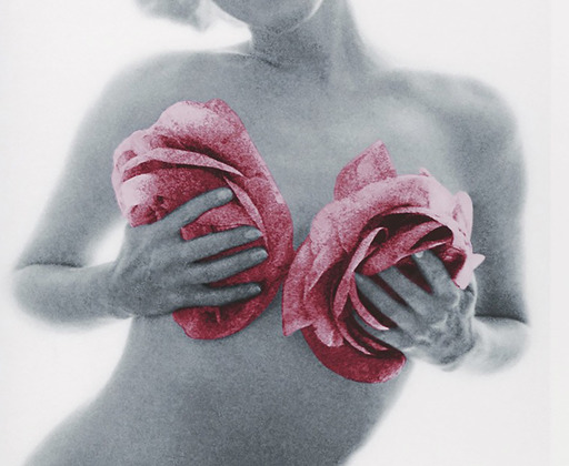 Bert STERN - Photography - Marilyn  pink wink roses 