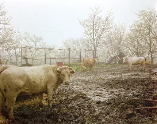 Raymond DEPARDON - Fotografie - Sans titre