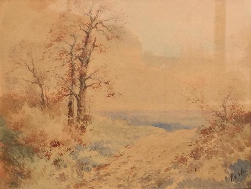 Marie BARBE - Drawing-Watercolor - Paysage 